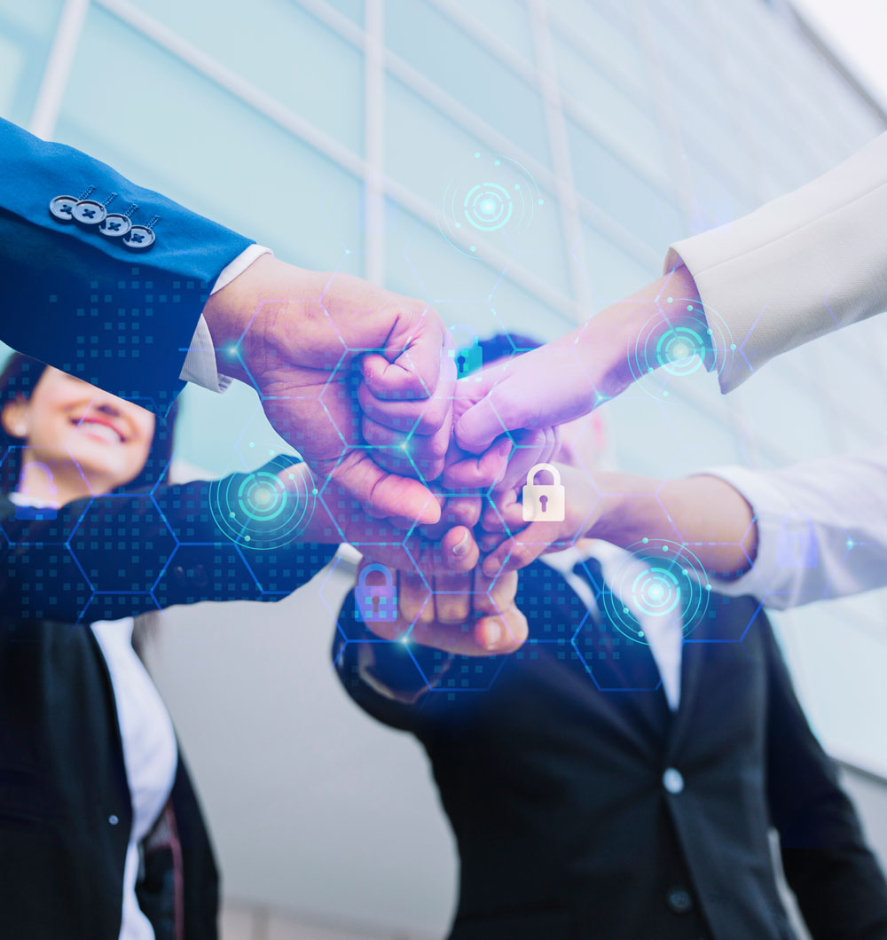 Web Application Project